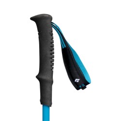 Kije trekkingowe Black Diamond DISTANCE CARBON FLZ POLES 110-125 cm