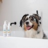 VetExpert Clinic Care Hypo&Omega Shampoo 250ml VetExpert Clinic Care Hypo&Omega Shampoo 250ml