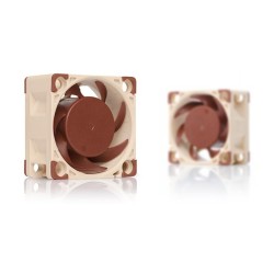 Wentylator NOCTUA NF-A4X20 40x20 mm PWM