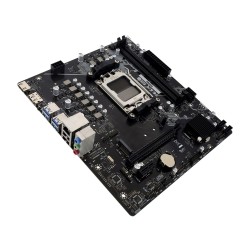 Płyta główna Biostar A620MS