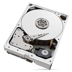 Dysk HDD Seagate IronWolf Pro (10 TB 256MB 3.5" SATA)