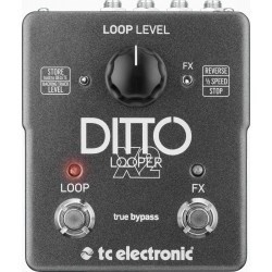TC Electronic Ditto Looper X2 - efekt gitarowy