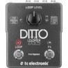 TC Electronic Ditto Looper X2 - efekt gitarowy