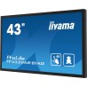 Monitor iiyama ProLite TF4339AS-B1AG - 43" - Płaski ekran - 108 cm