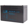 Akumulator 12V/120Ah-MWP