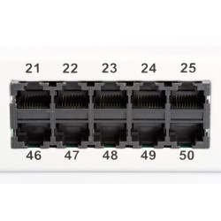 Digitus Panel krosowy (patch panel) ISDN 19" 50x RJ45 (8P4C), LSA poziom, kat.3, nieekranowany, 1U, szary
