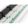 Digitus Panel krosowy (patch panel) ISDN 19" 50x RJ45 (8P4C), LSA poziom, kat.3, nieekranowany, 1U, szary