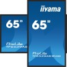 Monitor Iiyama Display Public 65 TF6539AS-B1AG