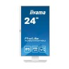 MONITOR IIYAMA LED 23,8" XUB2492HSU-W6