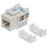 INTELLINET MODUŁ KEYSTONE RJ45 UTP CAT5E BIAŁY PUN