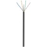 Goobay 57293 kabel sieciowy Czarny 100 m Cat6 U/UTP (UTP)