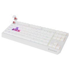 GENESIS Thor 230 TKL klawiatura Gaming USB + RF Wireless + Bluetooth QWERTY US English Biały