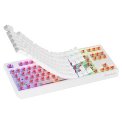 GENESIS Thor 230 TKL klawiatura Gaming USB + RF Wireless + Bluetooth QWERTY US English Biały