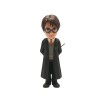 MINIX HARRY POTTER - HARRY POTTER