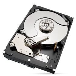 Dysk HDD Seagate IronWolf Pro (6 TB 256MB 3.5" SATA)