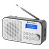 Radio DAB+/FM GoGEN - DAB300N