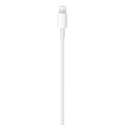 Apple USB-C to Lightning Cable (1 m)