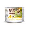 Raw Paleo Turkey&Cod Puppy Can 200g