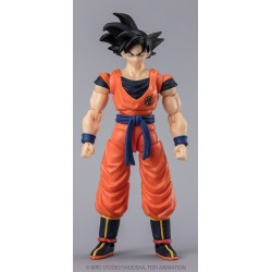 DRAGON BALL SUPER EVOLVE - SON GOKU