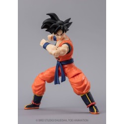 DRAGON BALL SUPER EVOLVE - SON GOKU