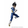 DRAGON BALL SUPER EVOLVE - VEGETA