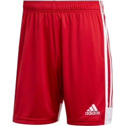 Spodenki męskie adidas Tastigo 19 Shorts czerwone DP3681 S