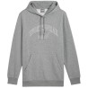 Bluza męska Puma Ess+ Logo LAB Gradient Hoodie FL szara 681775 03 M