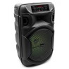 SQUEAK GŁOŚNIK KARAOKE PULSETOWER BLUETOOTH 5.3, RADIO FM, MICROSD, AUX, USB SQ1006