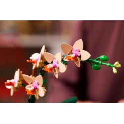 LEGO BOTANICALS 10343 Mała orchidea