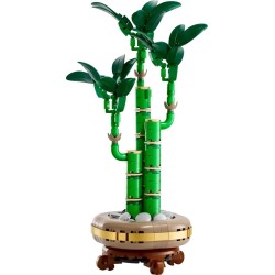 LEGO BOTANICALS 10344 Dracena sandera