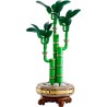 LEGO BOTANICALS 10344 Dracena sandera