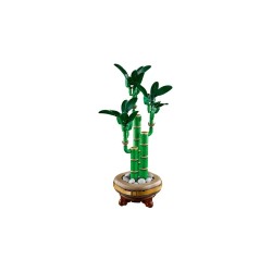 LEGO BOTANICALS 10344 Dracena sandera