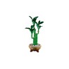 LEGO BOTANICALS 10344 Dracena sandera