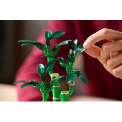 LEGO BOTANICALS 10344 Dracena sandera