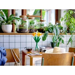 LEGO BOTANICALS 40747 Żonkile