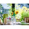 LEGO BOTANICALS 40524 Słoneczniki