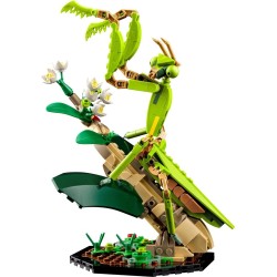 LEGO Ideas 21342 Kolekcja owadów