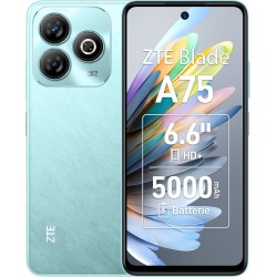 ZTE Blade A75 16,8 cm (6.6") Dual SIM Android 9.0 4G USB Type-C 4 GB 128 GB 5000 mAh Zielony