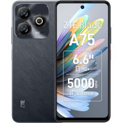 ZTE Blade A75 16,8 cm (6.6") Dual SIM Android 9.0 4G USB Type-C 4 GB 128 GB 5000 mAh Czarny