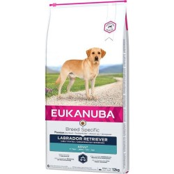 EUKANUBA Adult Labrador Retriever - sucha karma dla psa - 12 kg