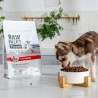 VetExpert Raw Paleo Ultra Wołowina Mini Puppy 2kg