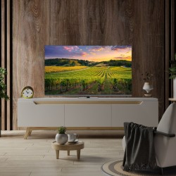 TV SET LCD 55" QLED 4K/55QG5C14 THOMSON