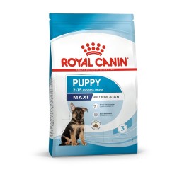 ROYAL CANIN SHN Maxi Puppy - sucha karma dla szczeniąt - 15 kg