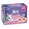 Brit Premium Family Plate dla kotów filety w galarecie mix smaków 12x85g