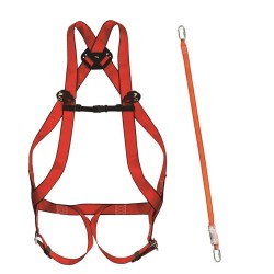 CLIMAX Zestaw BASIC 10 PLUS + Amortyzator 31A 30/30 + 2 karabińczyki