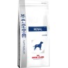 Royal Canin Veterinary Renal - sucha karma dla psa - 2 kg